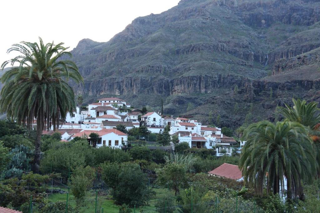 法塔加Casa Reyes Fataga的山前的小城镇
