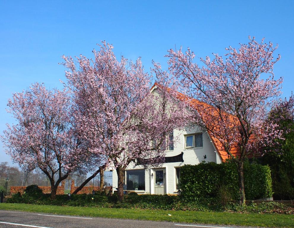 HarbrinkhoekB&B Sagenland的前面有树木的白色房子