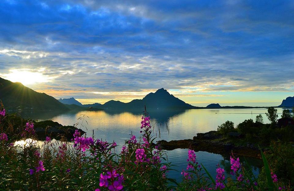 苏特兰思科洁尔博根海特格兰德山间小屋的紫色花朵的池水景