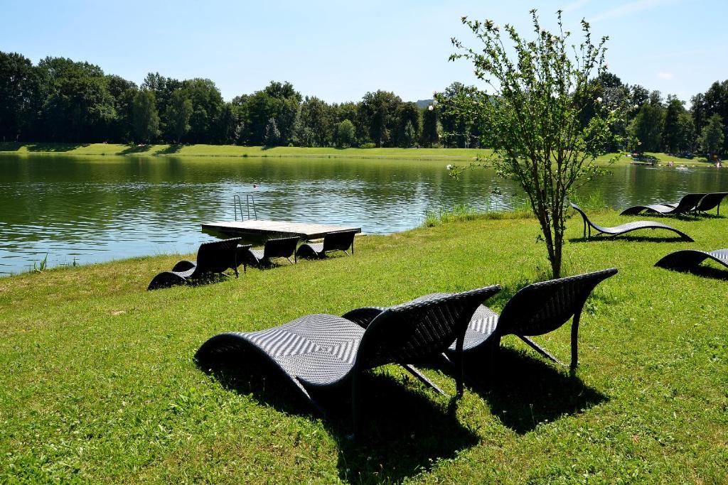 穆勒克Gasthof Röck的坐在湖边草地上的一组椅子