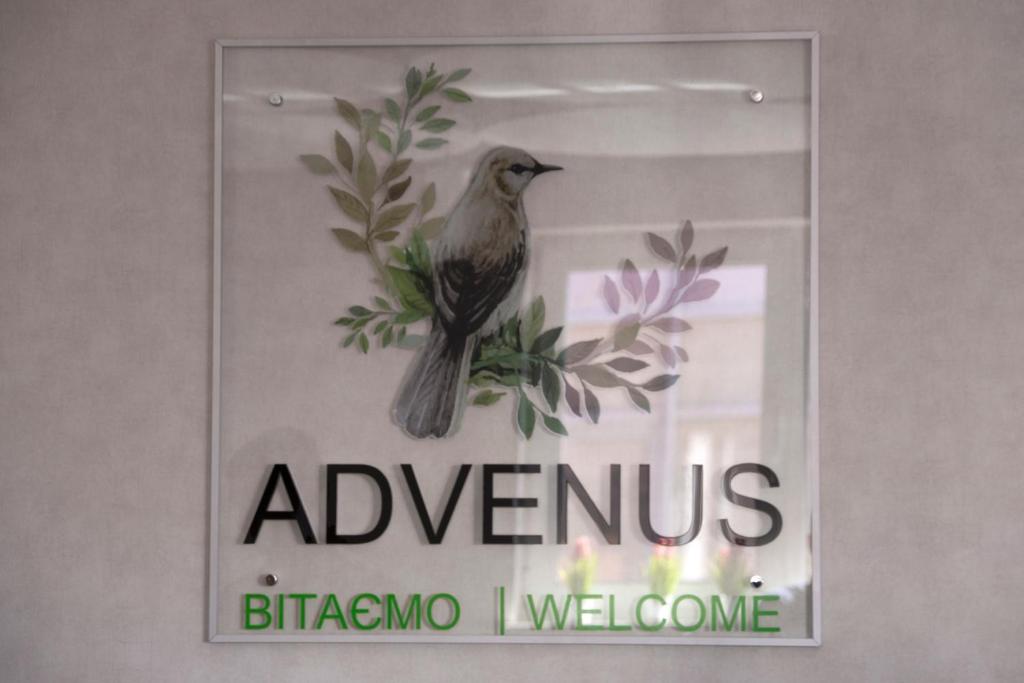利沃夫Advenus Hotel的鸟坐在窗边的标志