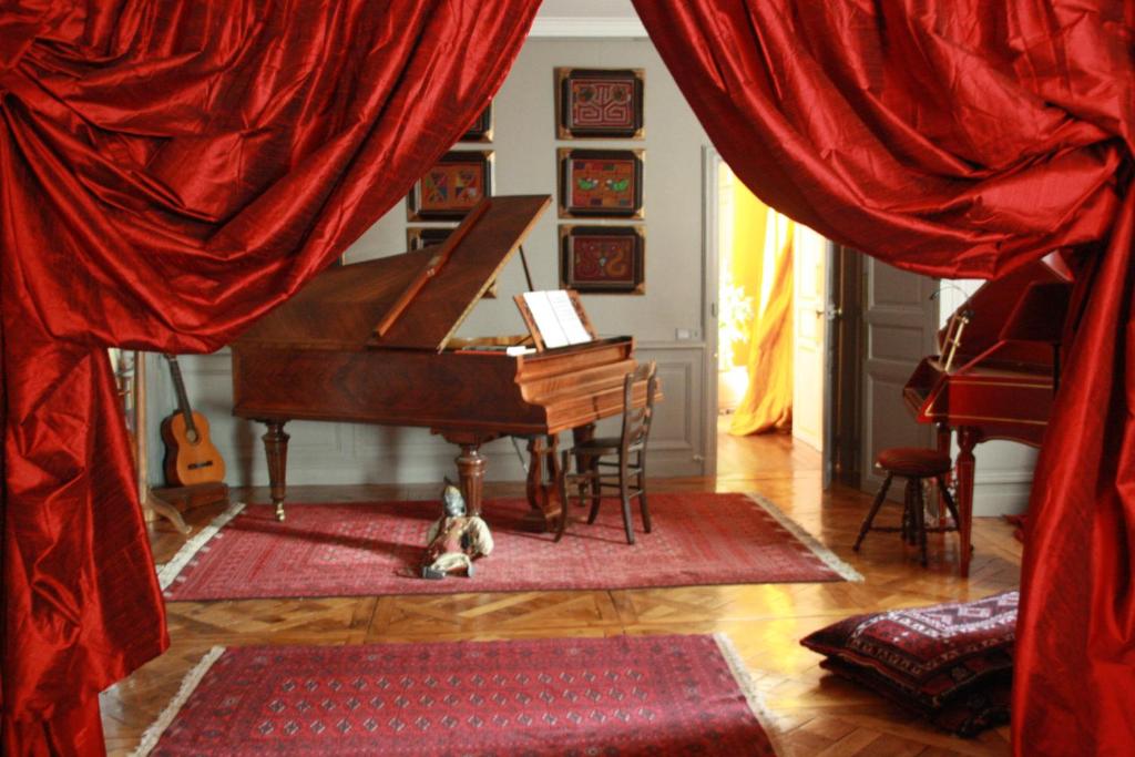 雷恩La Maison bleue的一只狗坐在钢琴前面的地板上