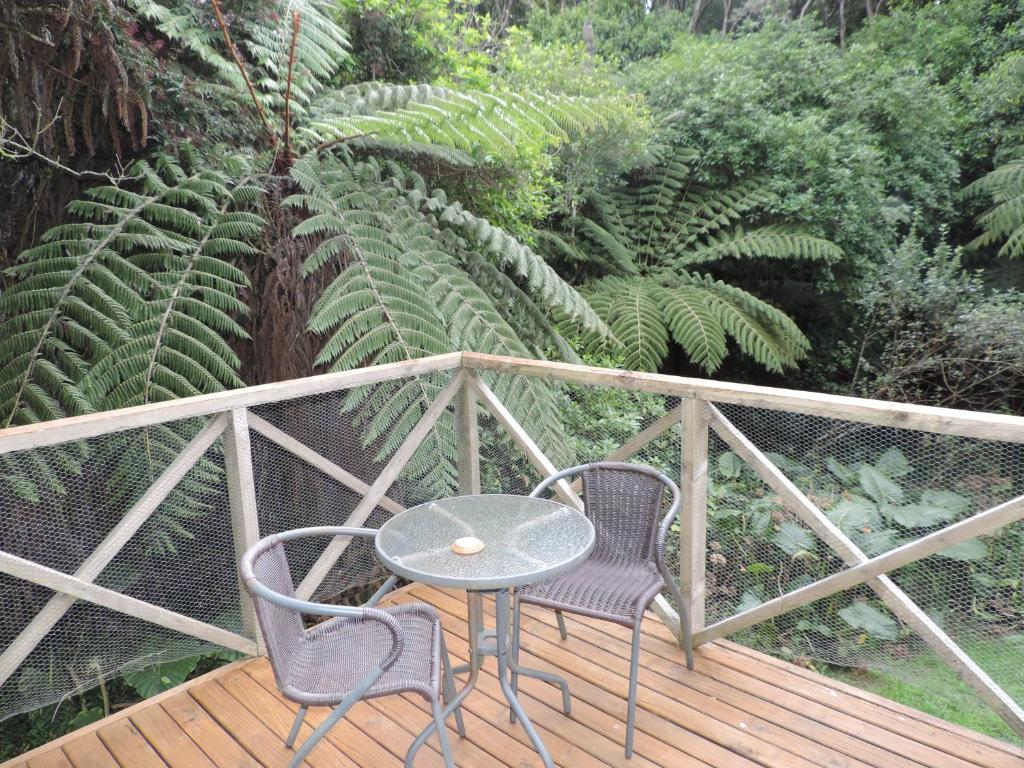 欧尼罗亚怀赫科岛蓬加山林小屋的植物甲板上的一张桌子和两把椅子