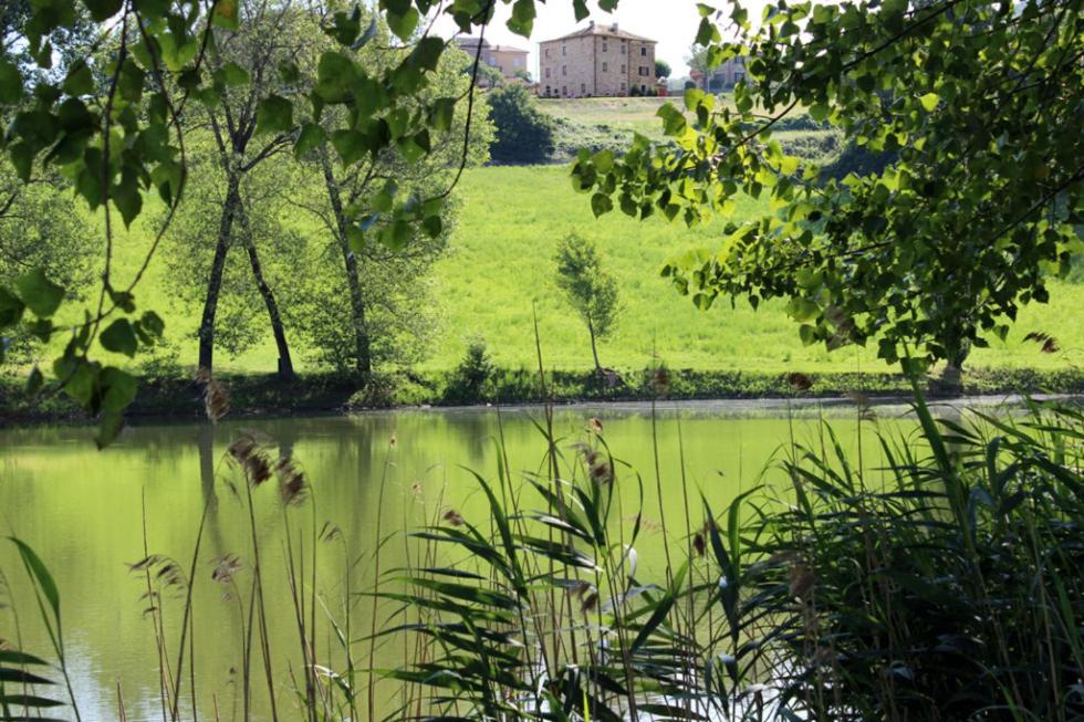 VarsiAppartamenti Cenni - Relais su Lago的享有湖景,设有位于后面的房子