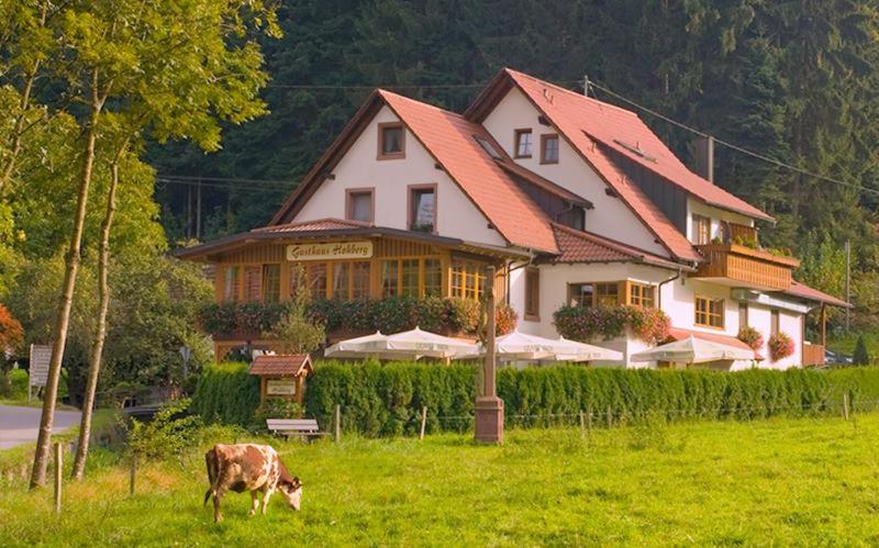 杜尔巴赫Gasthaus Hohberg的牛在房子前面的田野里放牧