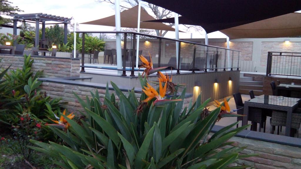 科内Hotel Colibri的庭院中间种有橙花的花园