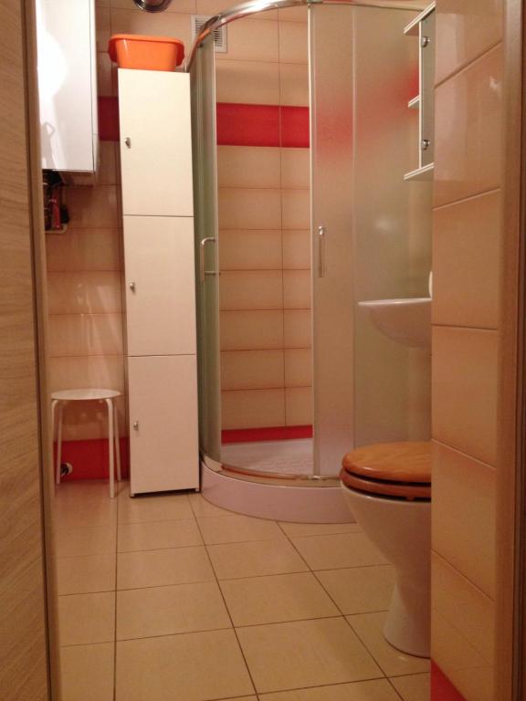 斯克拉斯卡波伦巴Apartament Szklarka6的一间带卫生间和玻璃淋浴间的浴室