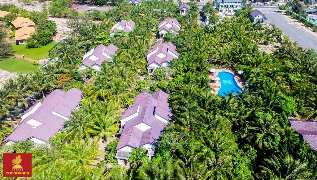 潘郎格洛德鲁斯特度假酒店的棕榈树度假村的空中景致