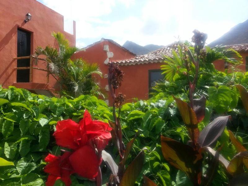 蒂约那Apartmento Tabares的一座花园,在房子前种有红色花卉
