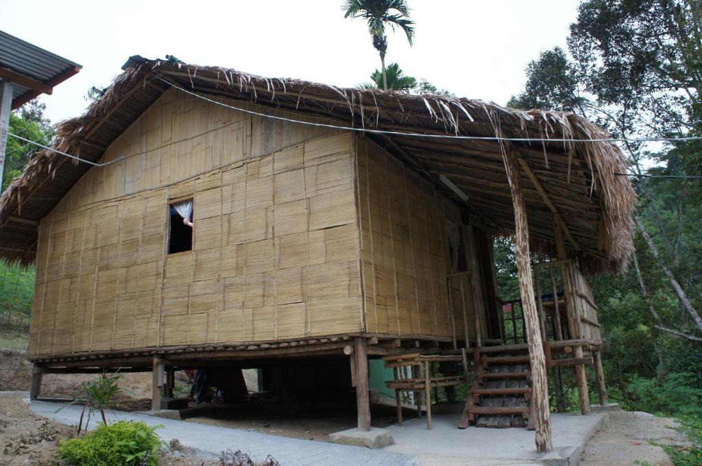 Ringlet雨林酒店的一座带茅草屋顶的大型竹屋