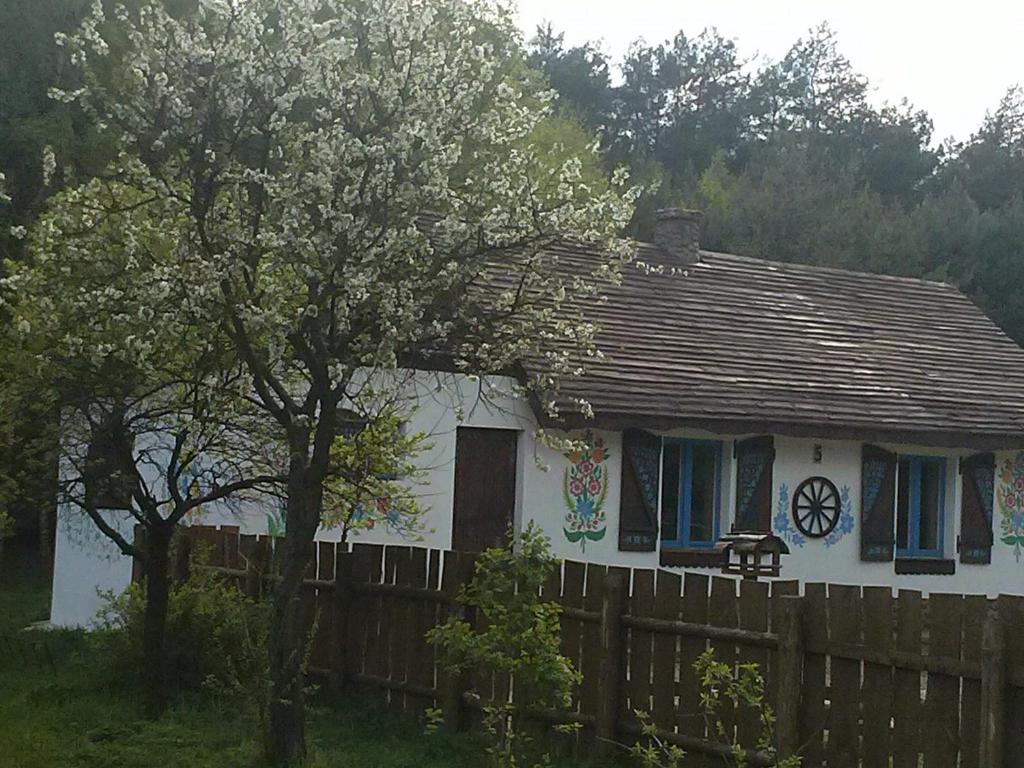 戈斯蒂宁Zagroda Zalipie的白色的小房子,设有木栅栏