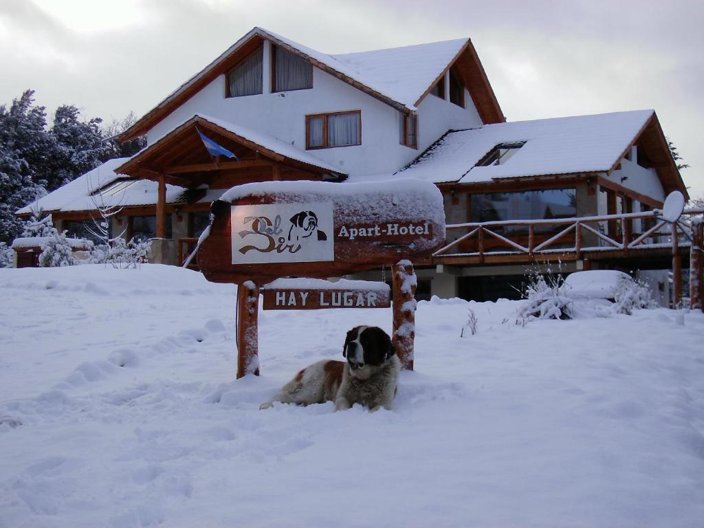 拉安戈斯图拉镇Apart Hotel y Hosteria del Sir的坐在雪地里标牌前的狗