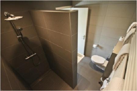 迪斯特Hotel de modern的浴室配有淋浴间和卫生间。