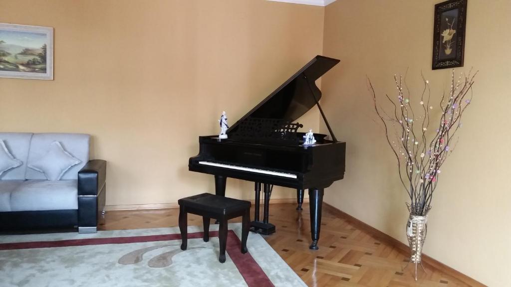 巴统Guest House kartvelishvili的客厅里的黑钢琴和凳子