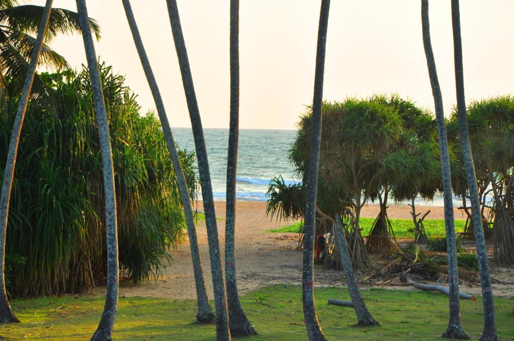 本托塔海景酒店的棕榈树享有海滩美景