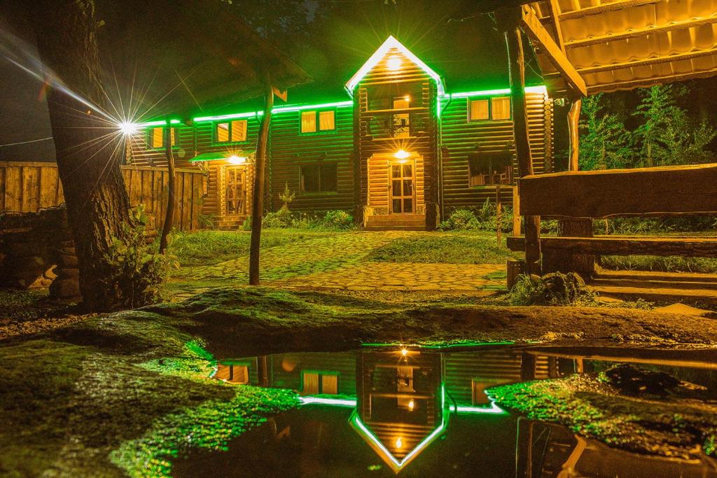IlʼnytsyaCottage Teremok的池塘前有绿灯的房子