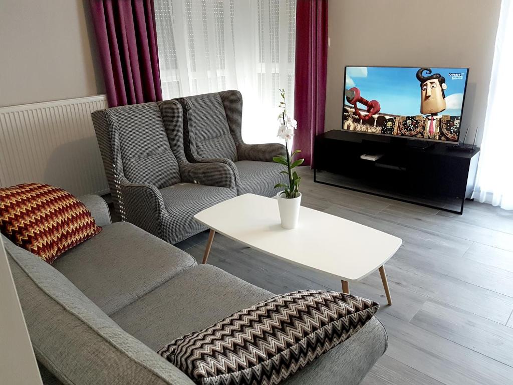 波兹南CCH大象公寓 的带沙发和电视的客厅