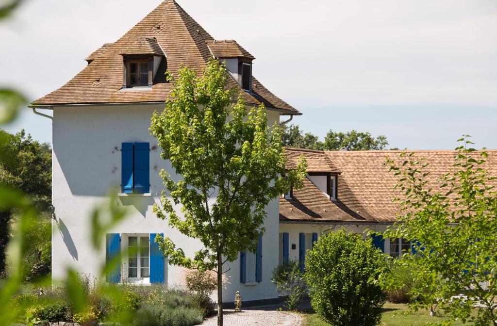 ThionneLa Maison du Lac的蓝色百叶窗和一棵树的房子
