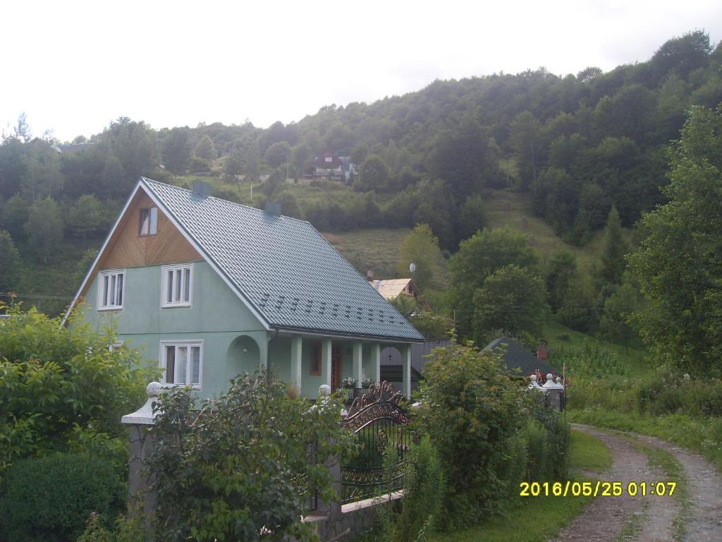克瓦西Zelenyj Gaj的山坡上带灰色屋顶的房子