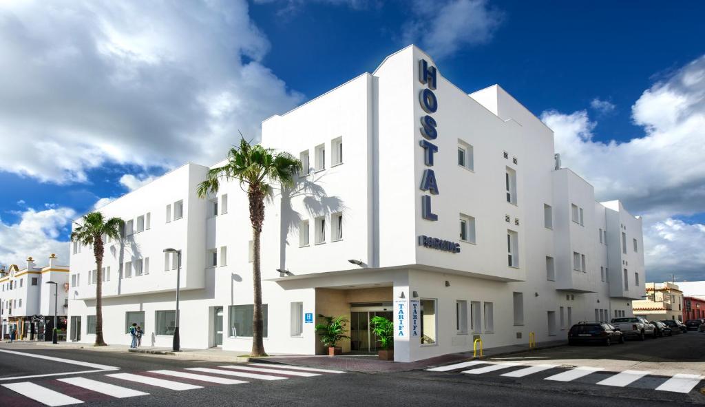 塔里法塔里法旅馆的一条棕榈树街道上的白色建筑