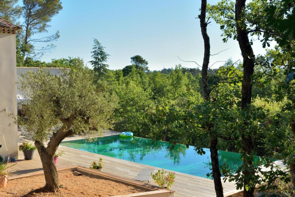 圣马西敏·拉塞Sous les oliviers - Piscine chauffée à débordement- Charming的一座树木繁茂的庭院内的游泳池