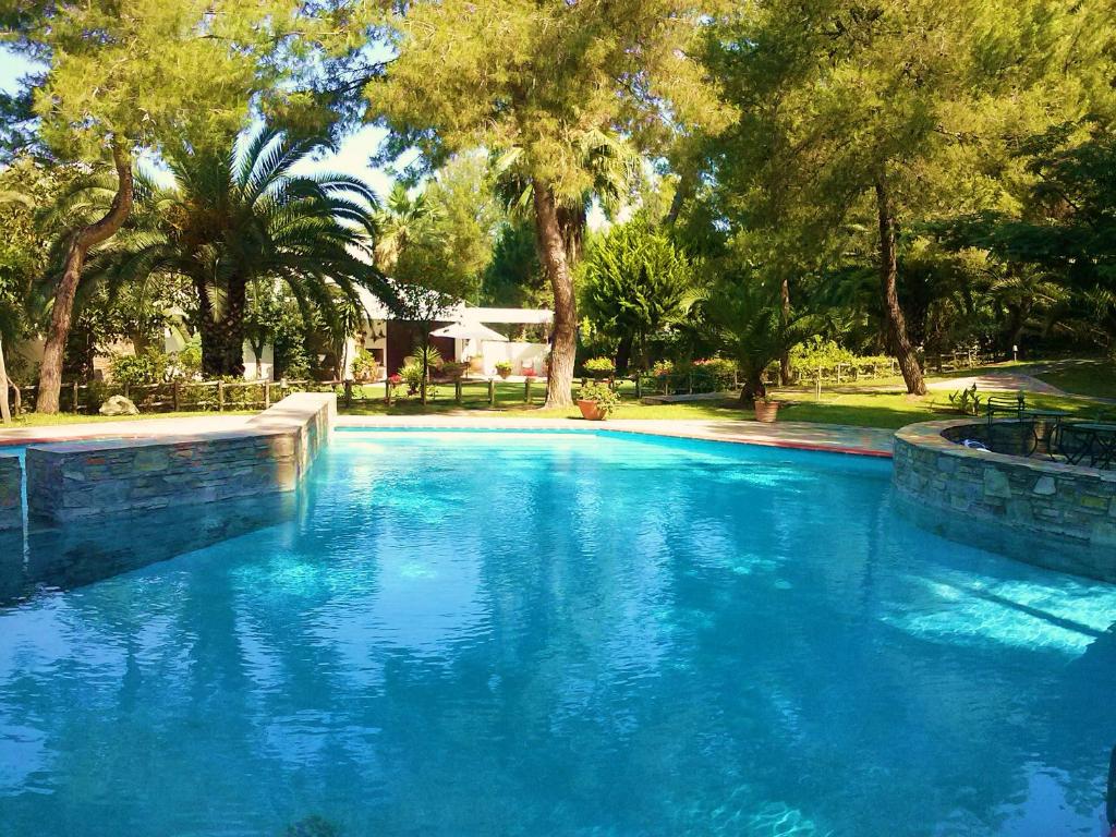 撒尼海滩Sani Villa Maria的一个种有树木的大型蓝色游泳池