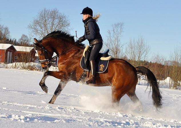 图什比Torpgården的雪中骑马的女人