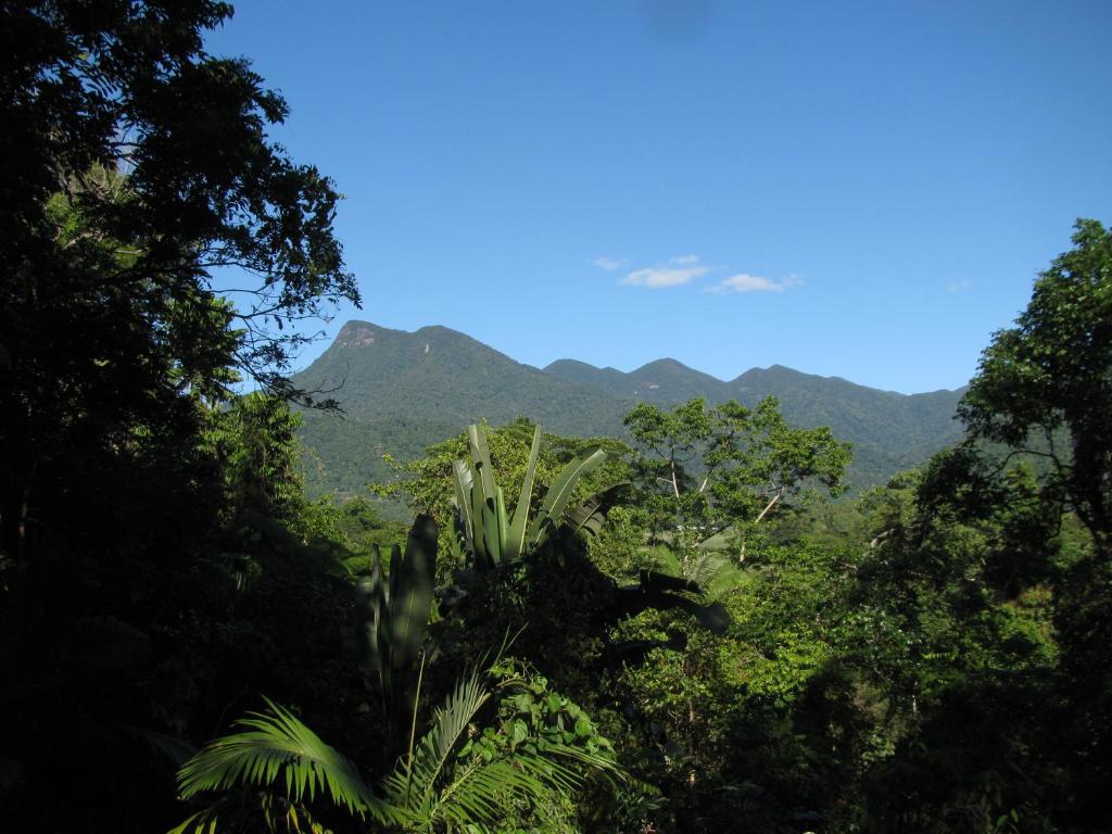 Mossman莫斯曼峡谷住宿加早餐旅馆的享有丛林美景,背景为山脉