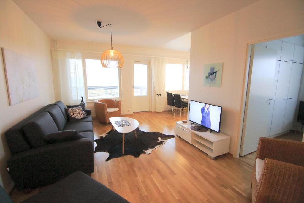 罗瓦涅米北极光公寓的带沙发和平面电视的客厅