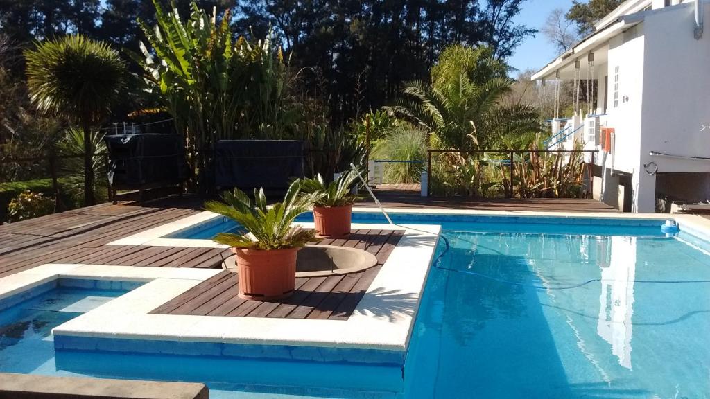 蒂格雷Guest House Peter Flanders的一座种植了盆栽植物的游泳池