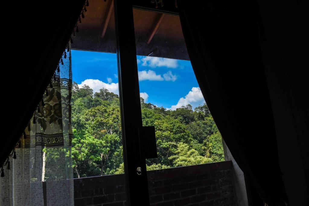 康提神社宾馆的窗户享有树木和蓝天的景致。