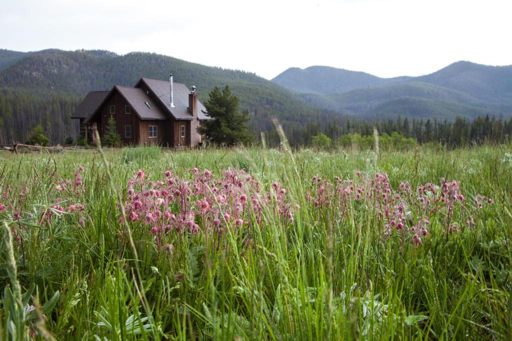 WhitehallHomestake Lodge的一座房子前面的田野,上面有粉红色的花朵