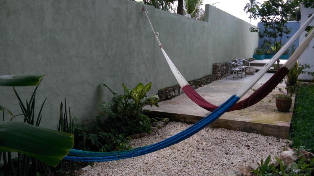 梅里达Casa Del Aire的花园内挂在墙上的吊床