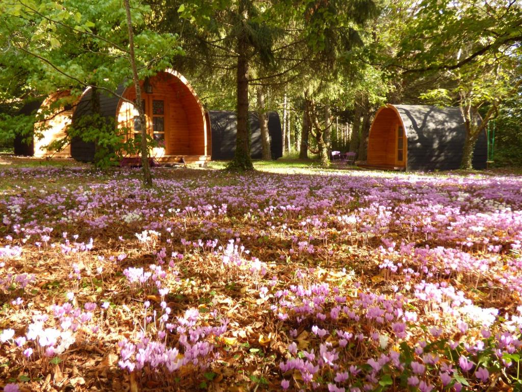 西塞河畔的舒齐La Rossignolerie - POD Cabanes des châteaux的一座建筑前方的紫色花田