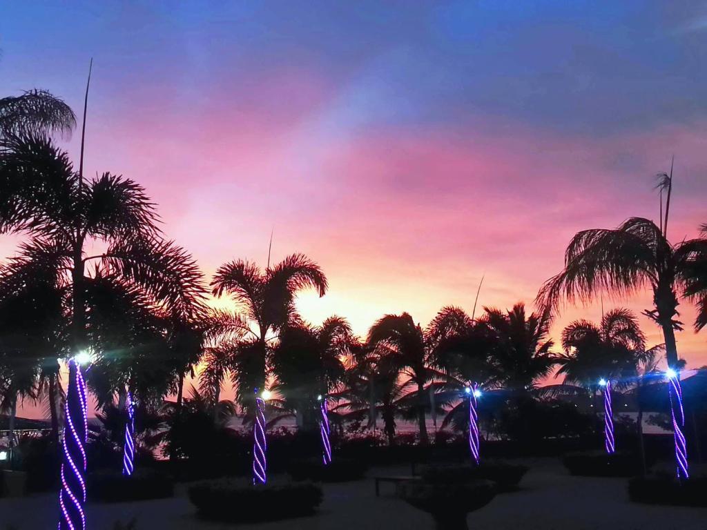 奥拉涅斯塔德阿鲁巴瑟夫赛德码头酒店的公园里棕榈树和灯光的日落