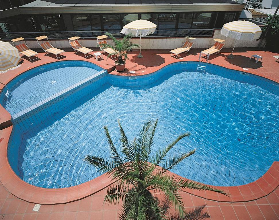 切塞纳蒂科Hotel Calypso的一个带椅子和棕榈树的大型游泳池