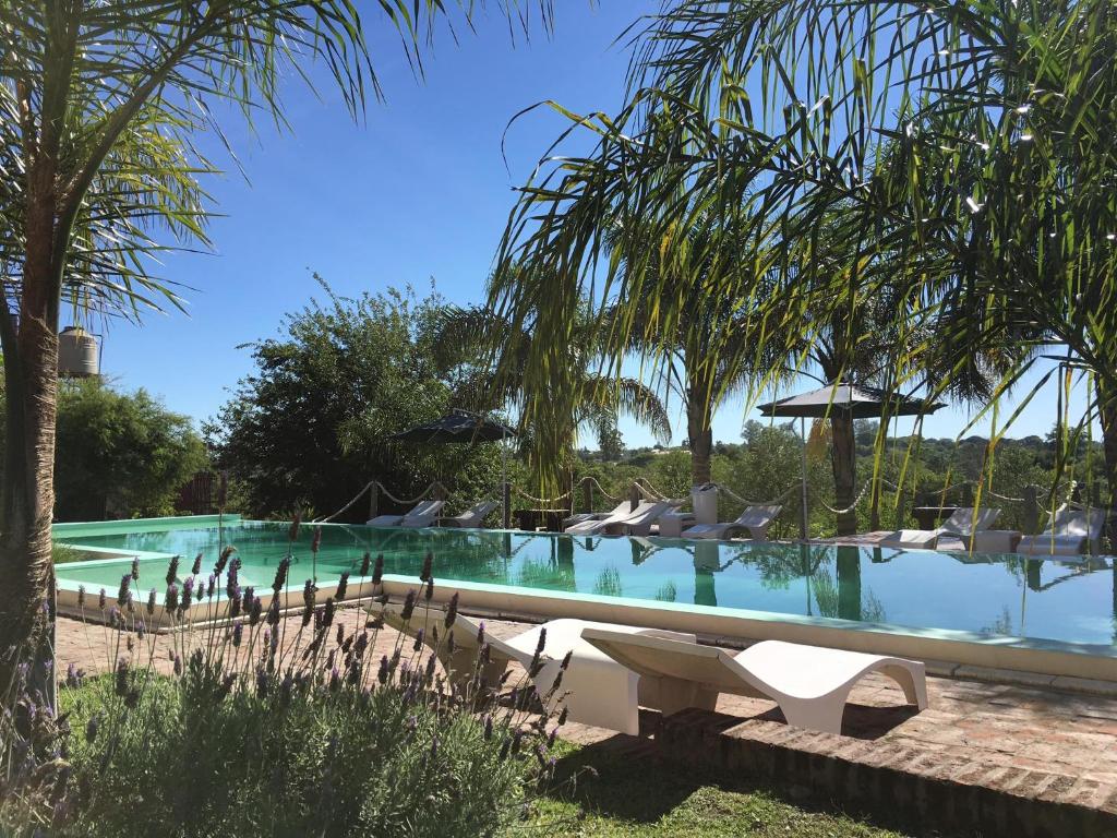 拉巴斯Hotel La Cautiva de Ramirez的一个带椅子的游泳池,棕榈树