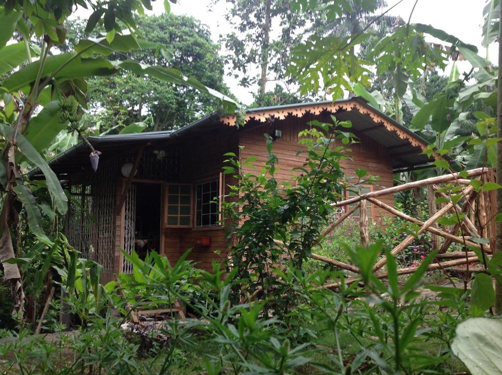 TrindadeCasa Ediana的丛林中的一座小木屋