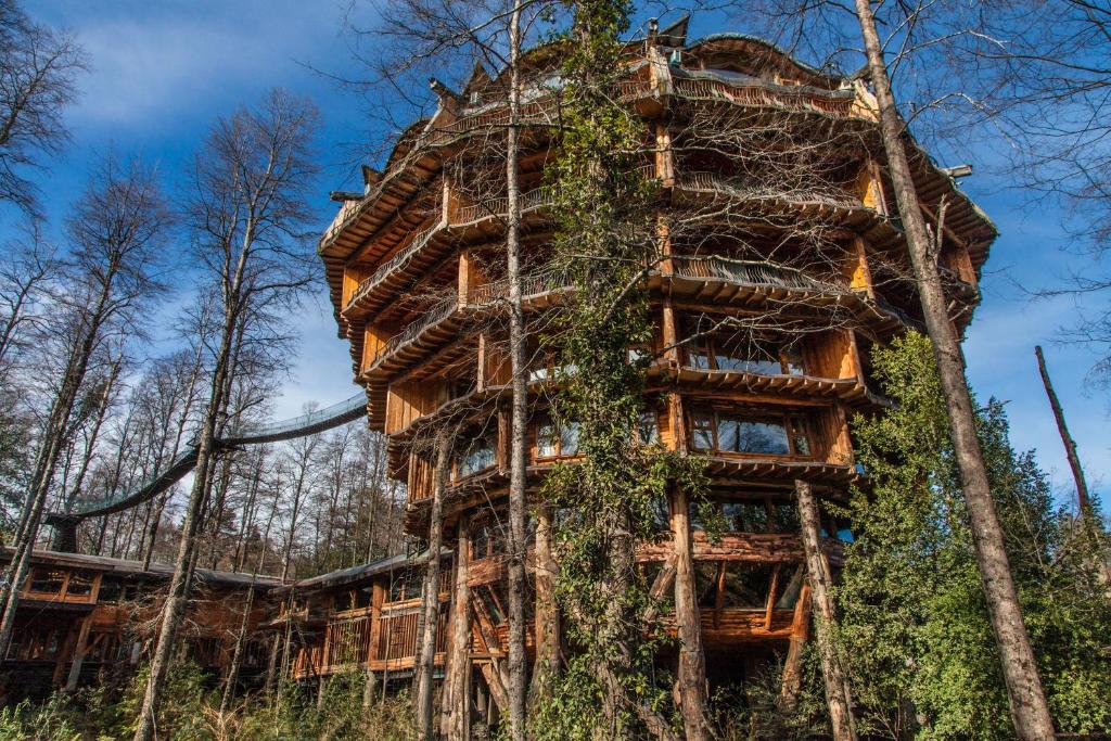 惠洛惠洛乎伊洛乎伊洛假山毛榉spa酒店的树林中未完工的树屋