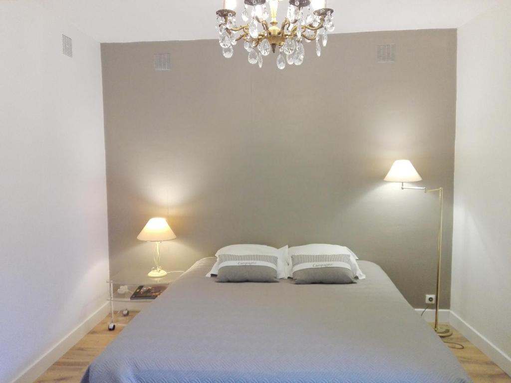 ApremontRelais De La Haute Pommeraye的一间卧室配有一张带两个枕头的床和吊灯。