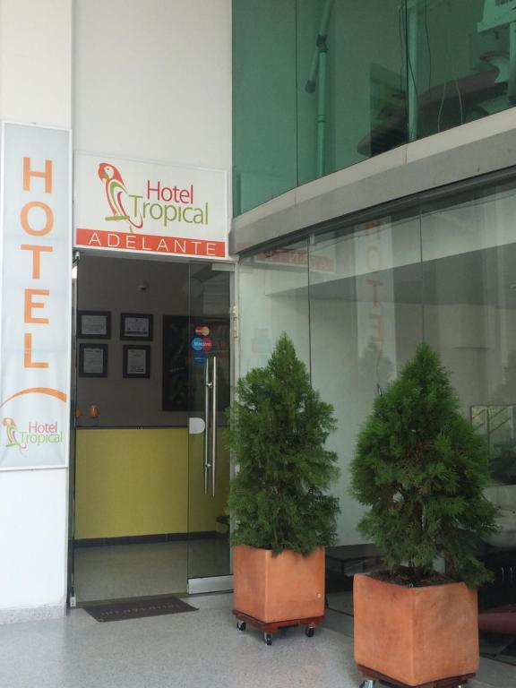 科罗萨尔Hotel Tropical的两棵盆栽树,坐在一座建筑前面