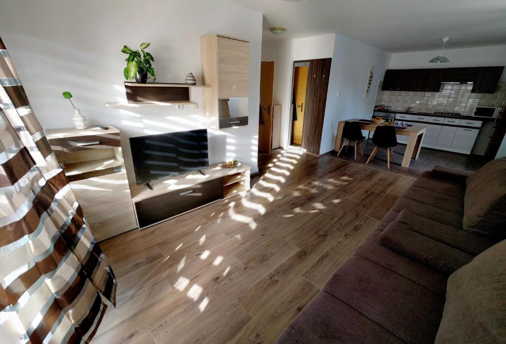 卢布尔雅那Apartments Tome的带沙发和壁炉的客厅