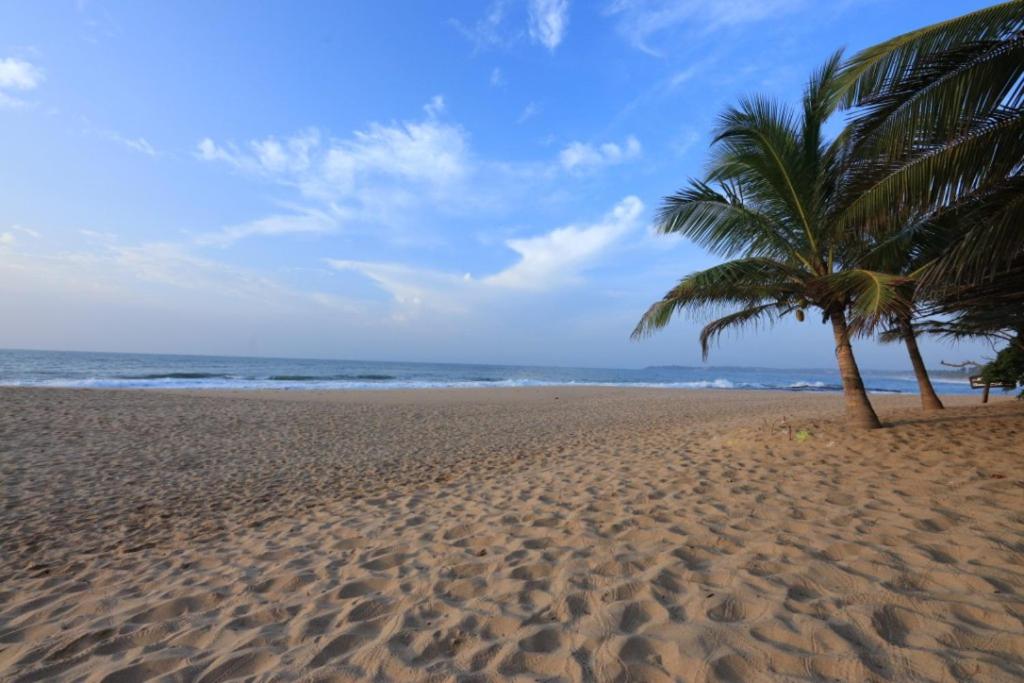 坦加拉Mangrove Beach Cabana的两棵棕榈树,位于沙滩上,与大海