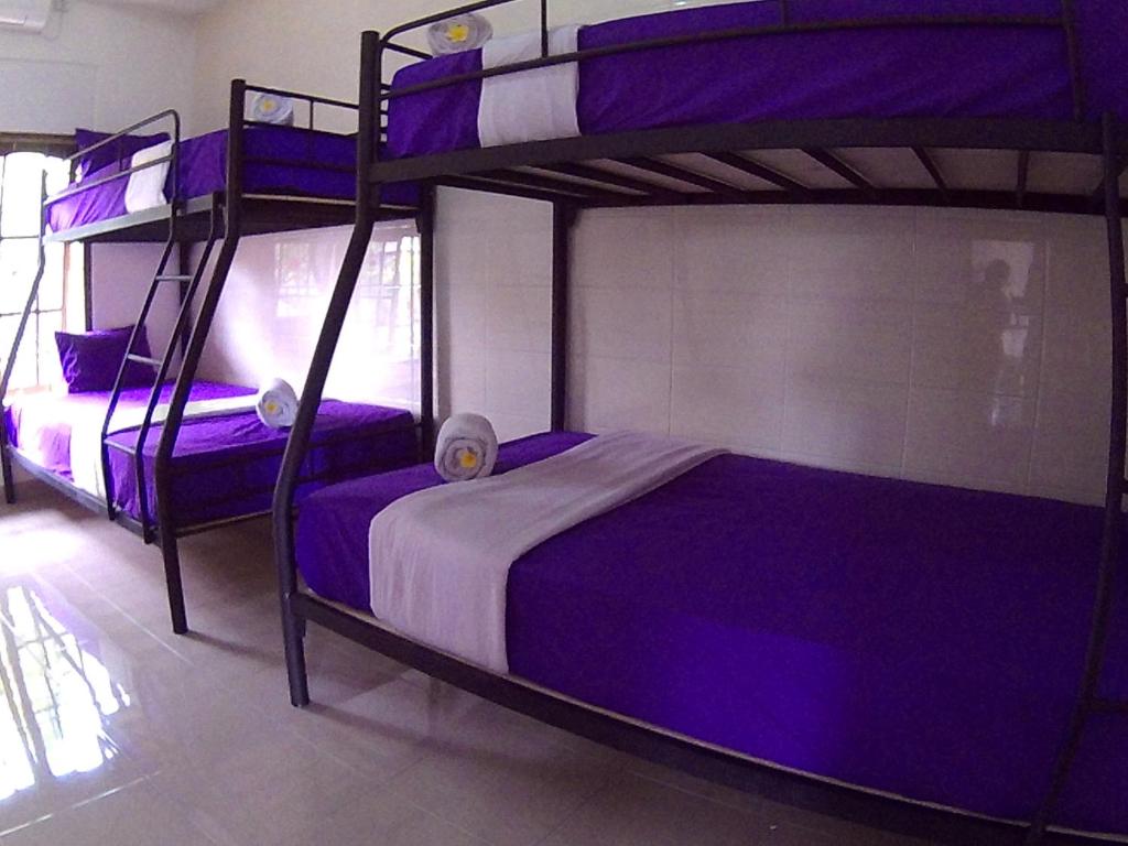 金巴兰全天住宿加早餐旅馆的配有紫色床单的客房内的两张双层床