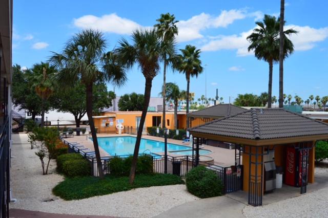 拉雷多拉雷多美洲最超值旅馆的一个带游泳池、凉亭和棕榈树的度假村