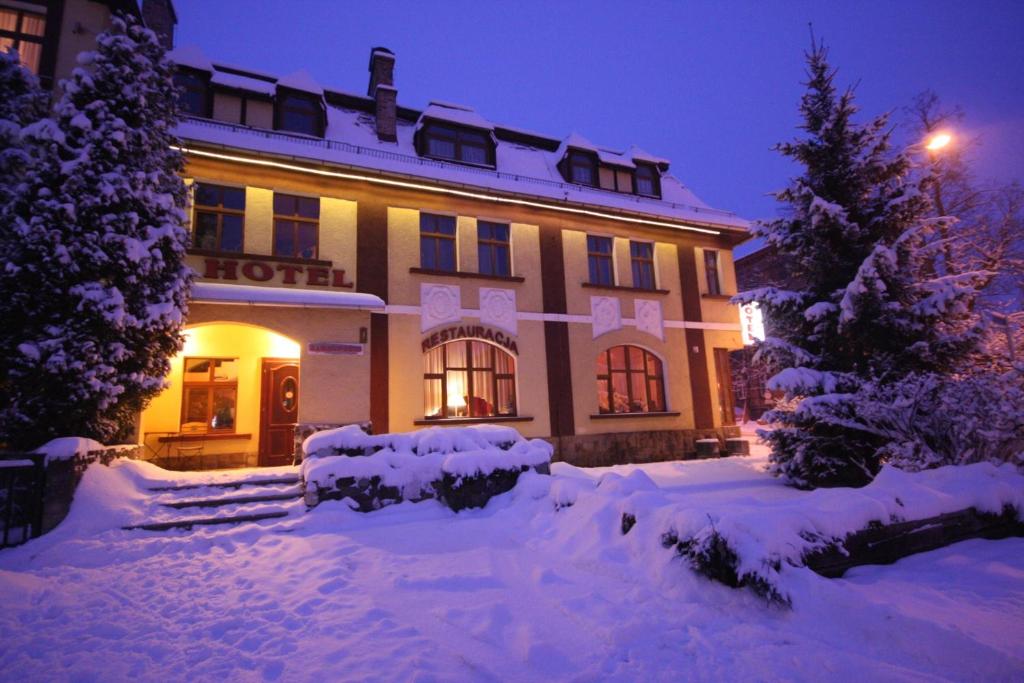 卡缅纳古拉Hotel Karkonosze的夜间酒店被雪覆盖