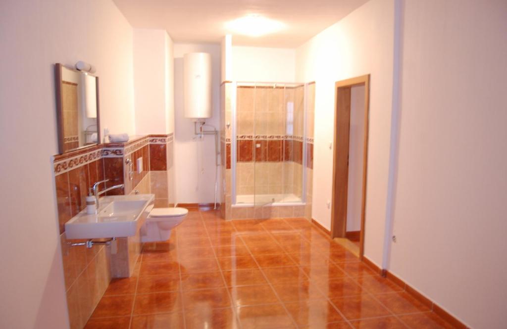 捷克克鲁姆洛夫贝尔坎托公寓的浴室配有卫生间、盥洗盆和淋浴。