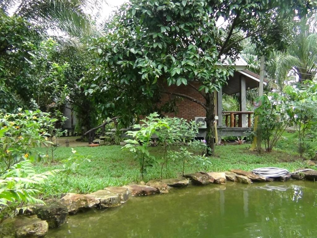 蔻立图阿普若德乡村民宿的花园前带池塘的房子