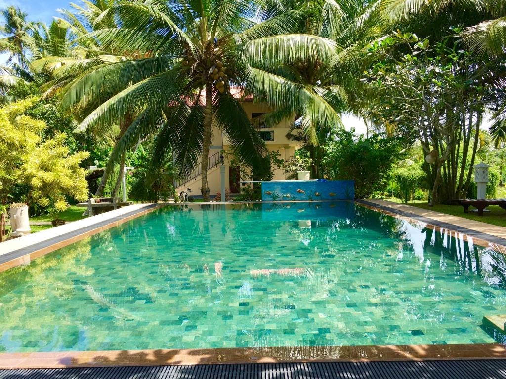 本托塔香格里兰卡别墅酒店的一个棕榈树背景的大型游泳池