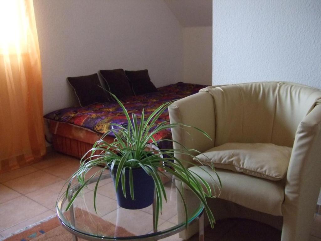 派内A2-Vermietung的客厅配有沙发和玻璃桌,种植了植物
